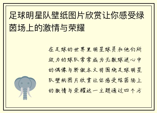足球明星队壁纸图片欣赏让你感受绿茵场上的激情与荣耀